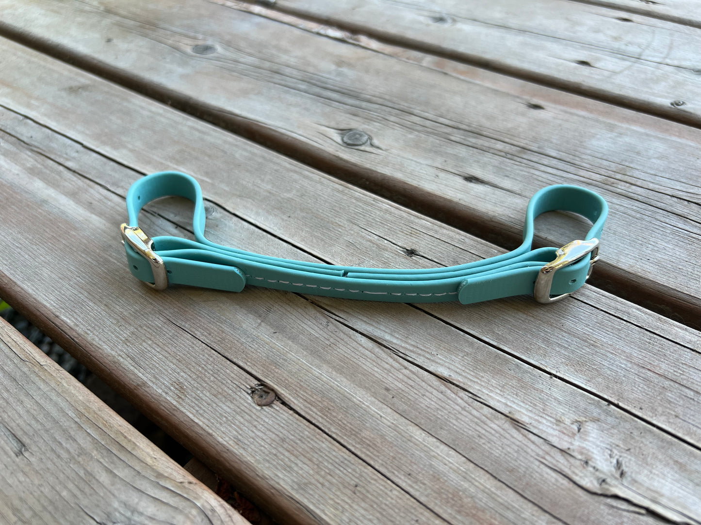 BioThane Curb Strap - IN STOCK