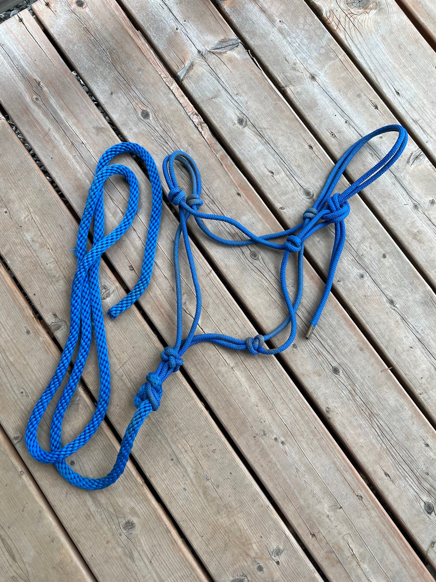 Licou de corde usagé avec laisse