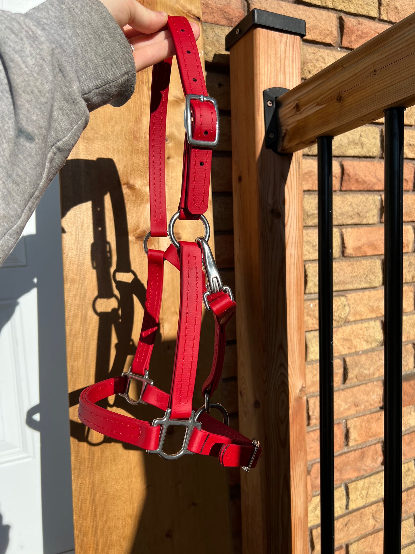 BioThane Halter - MaRivale Signature *Made to order*