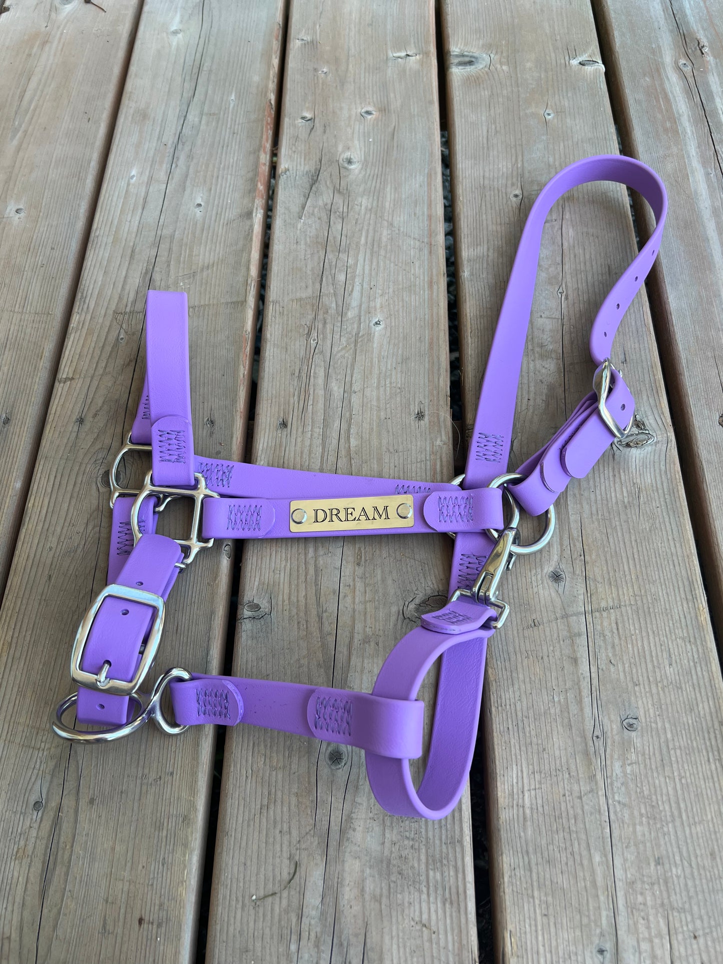 Custom Halter Set - BioThane Halter & Name Plate Bundle