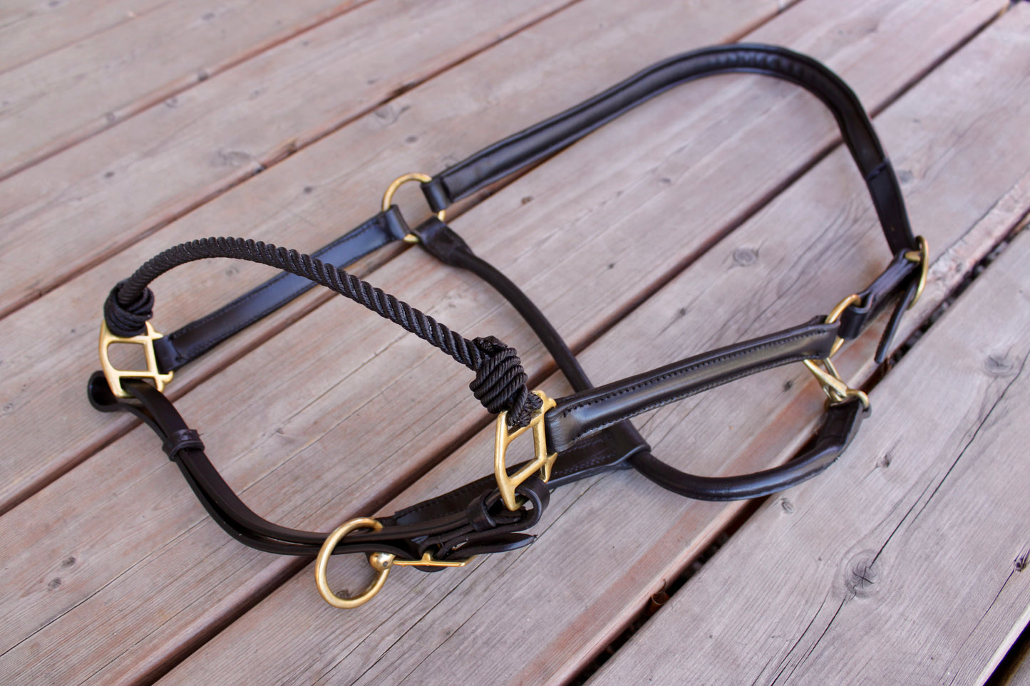 Black Leather Halter with Lariat Noseband