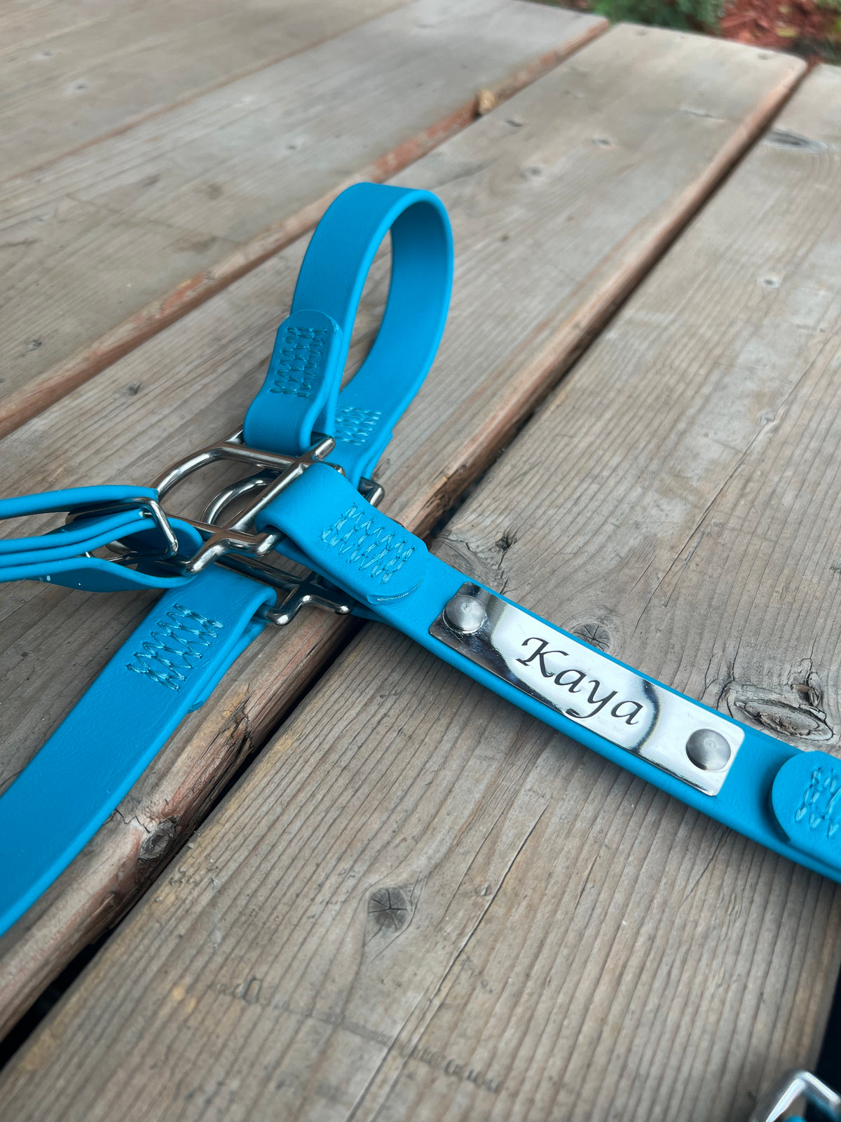 Custom Halter Set - BioThane Halter & Name Plate Bundle
