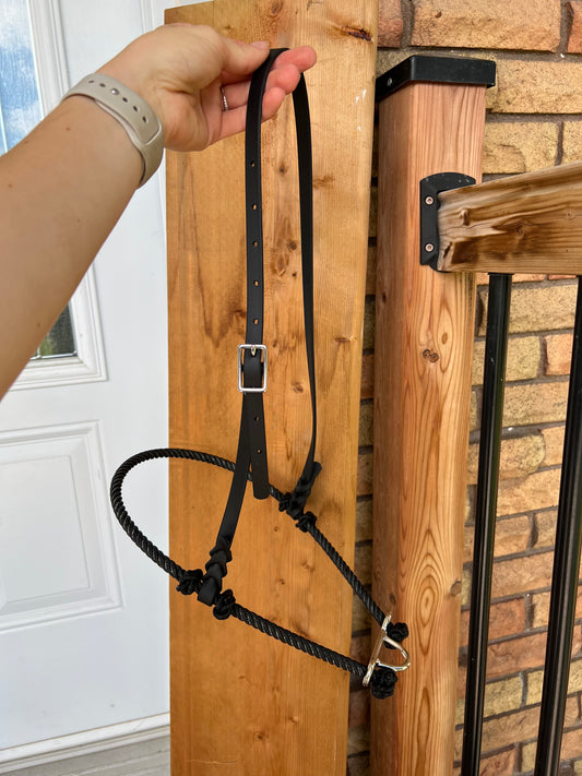 Lariat Noseband for Tie Down