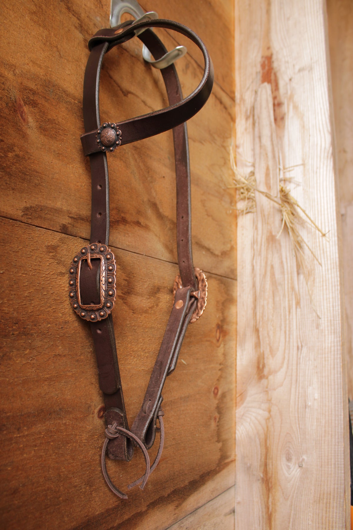 Dark Brown Leather Headstall #2