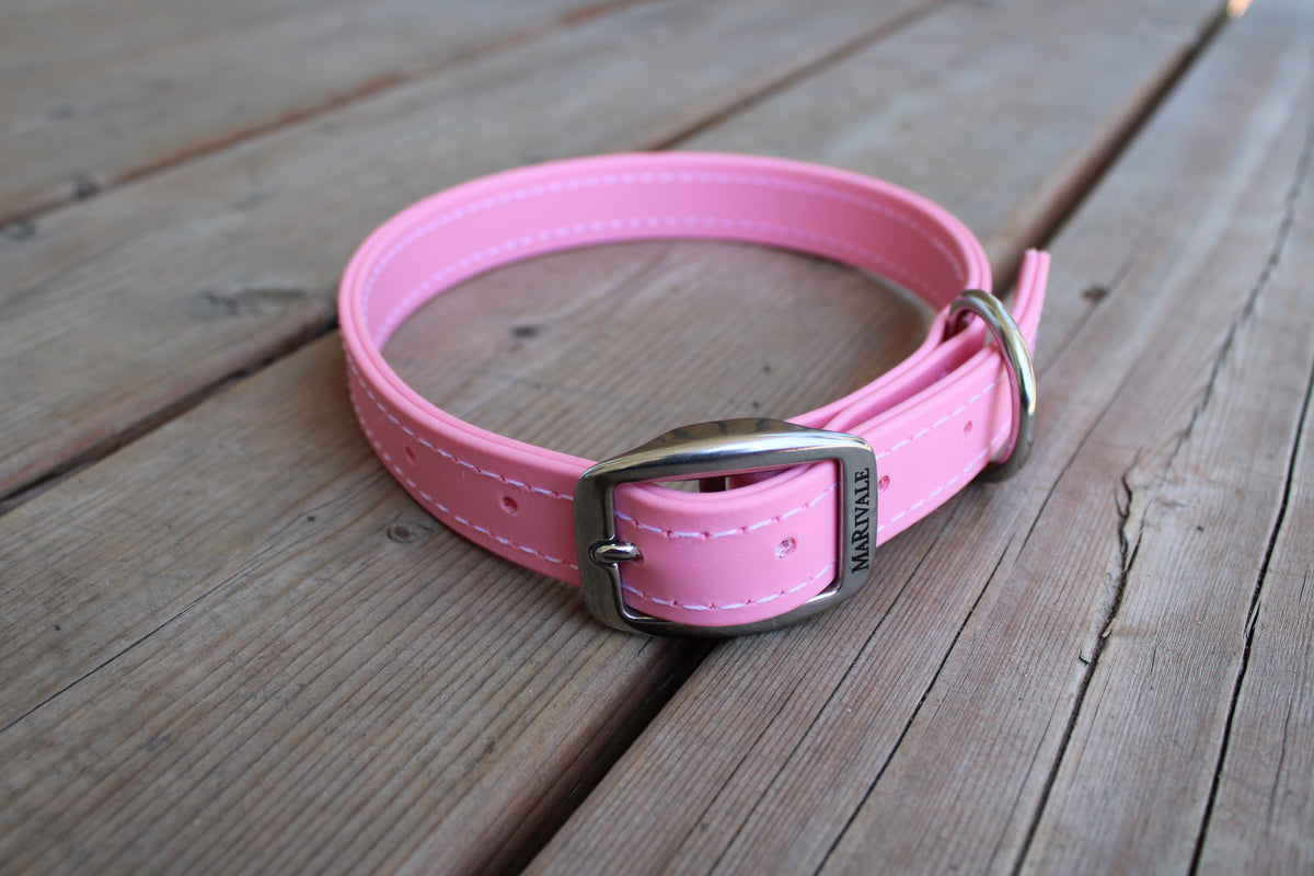 BioThane Dog Collar - IN STOCK