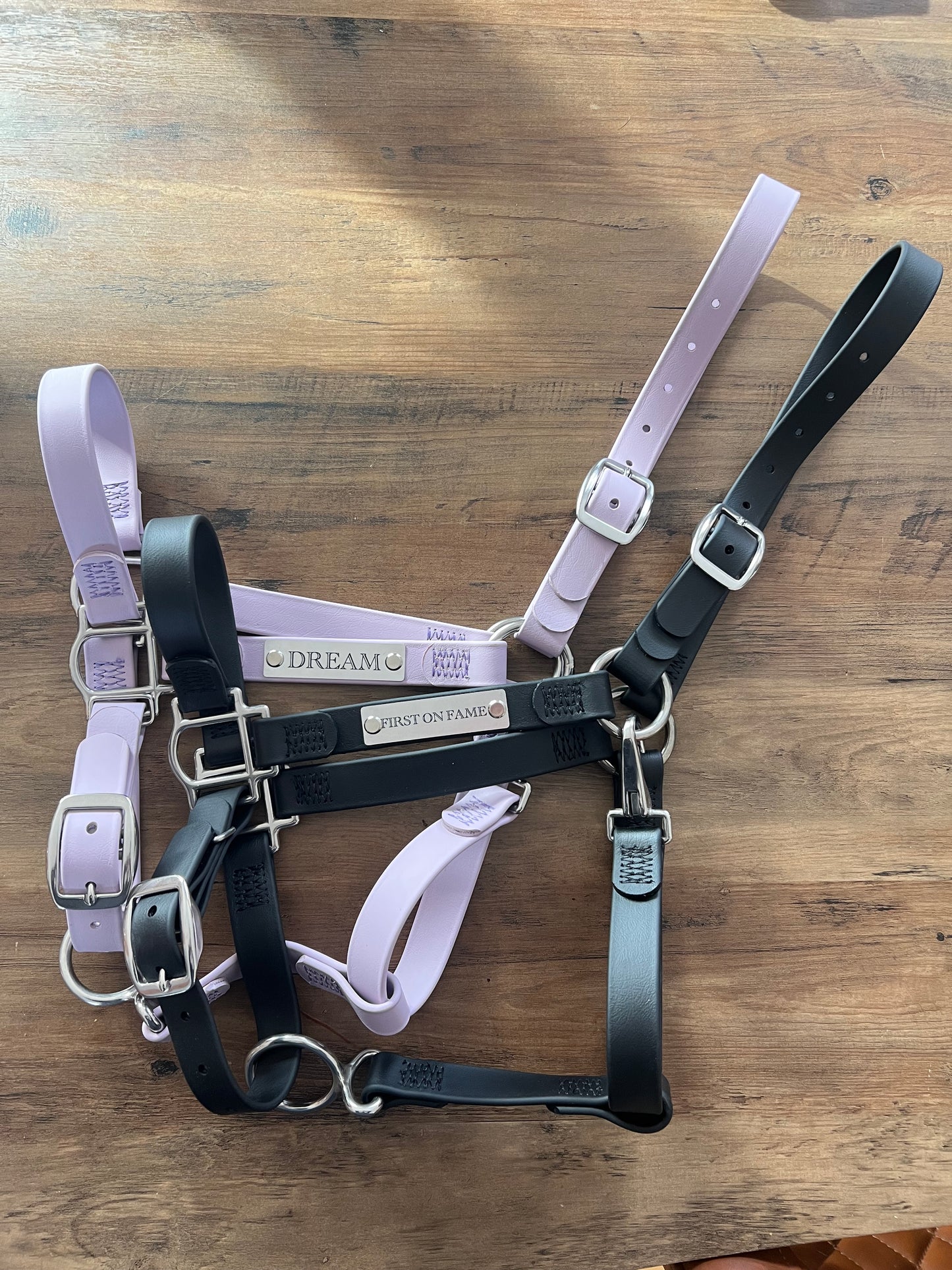 Custom Halter Set - BioThane Halter & Name Plate Bundle