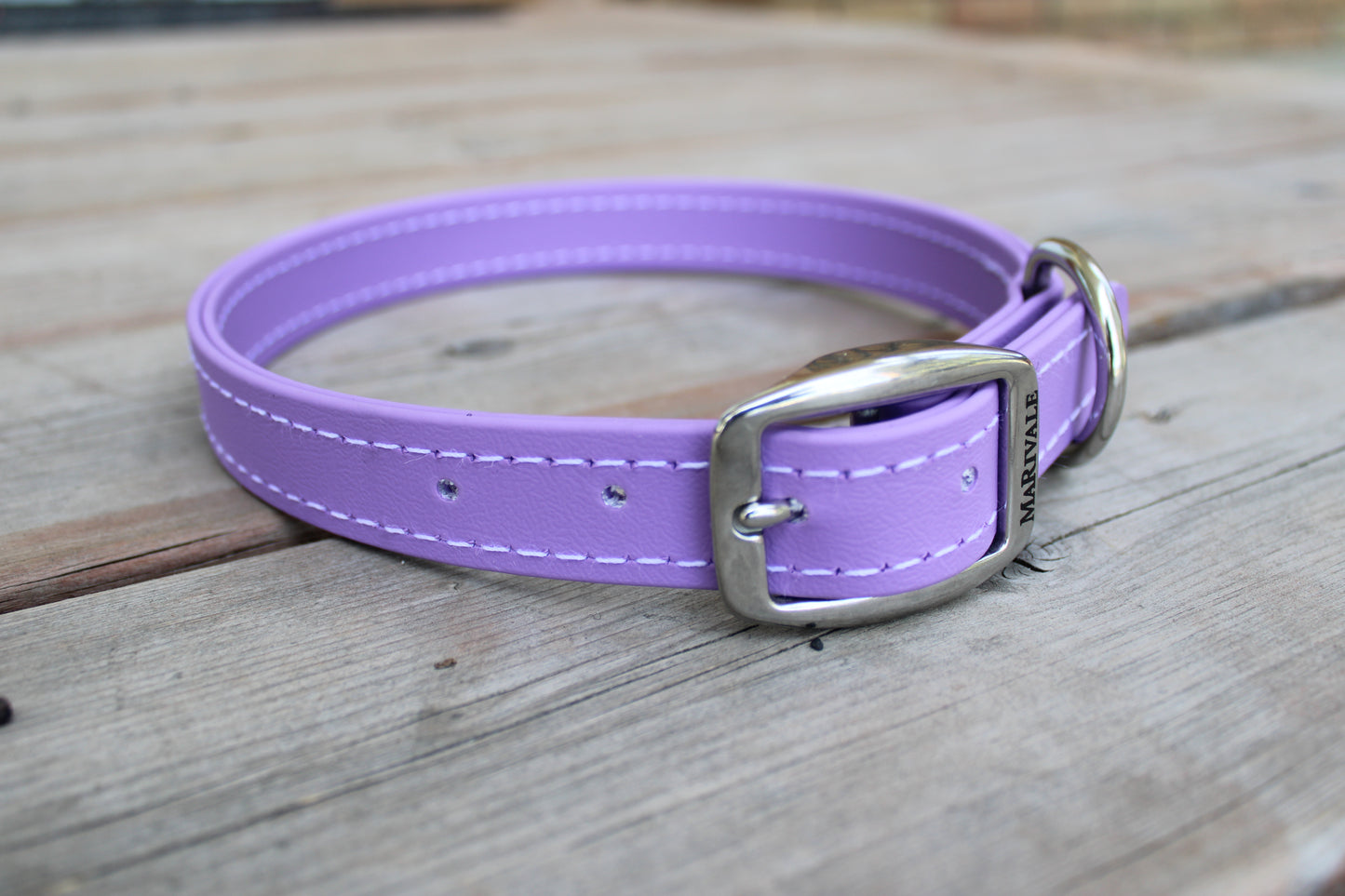 BioThane Dog Collar - IN STOCK