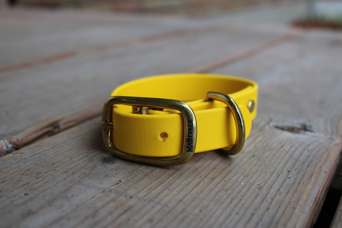 BioThane Dog Collar - IN STOCK