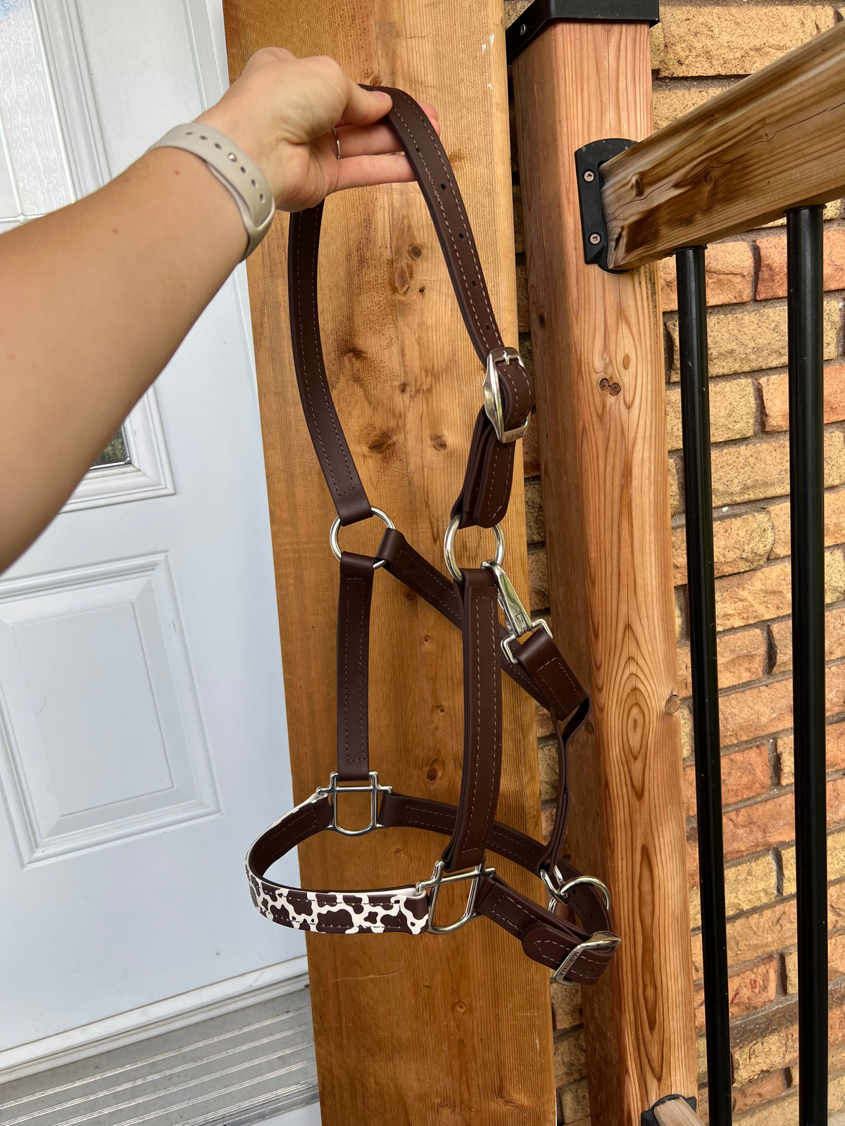 BioThane Halter - MaRivale Signature - IN STOCK