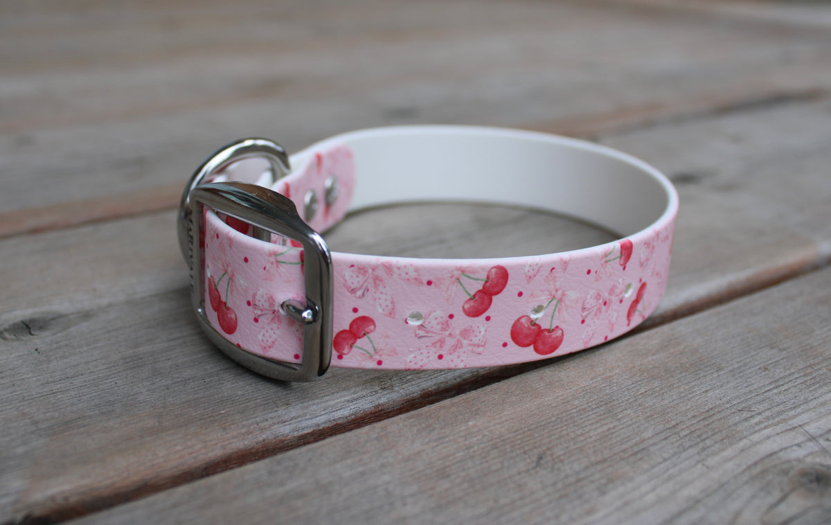 BioThane Dog Collar - IN STOCK