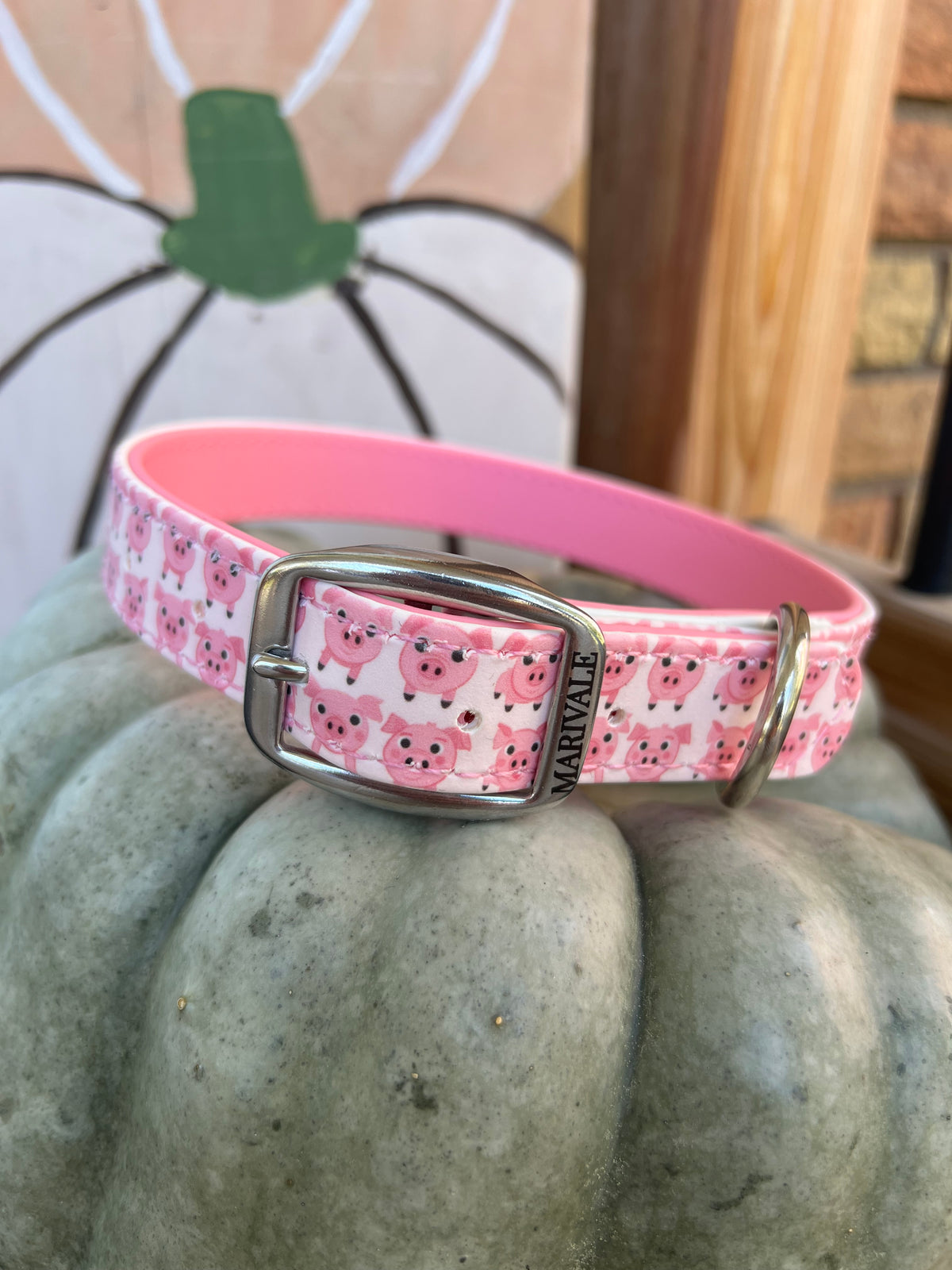 BioThane Dog Collar - IN STOCK