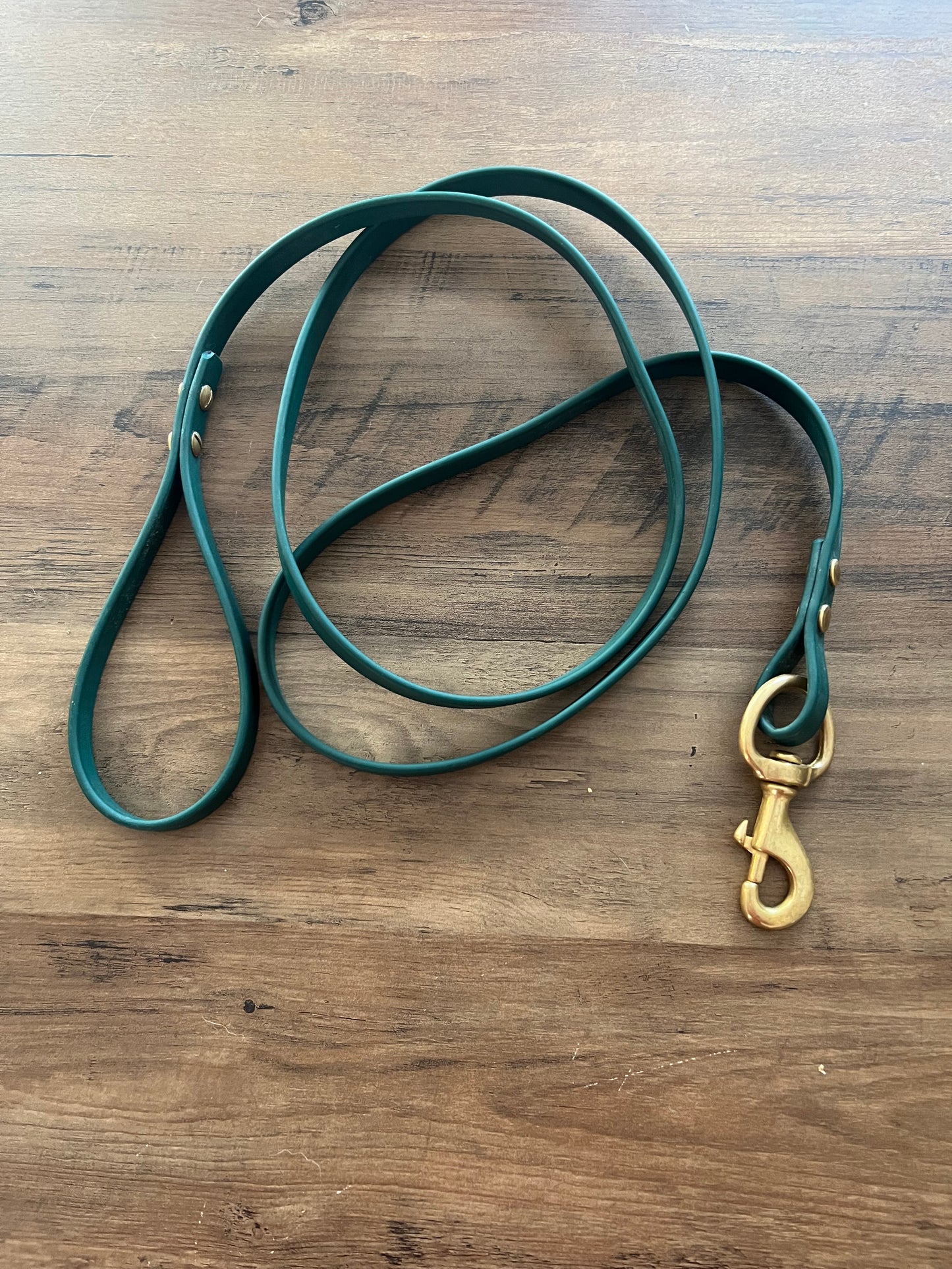 BioThane Dog Leash *Made to order*