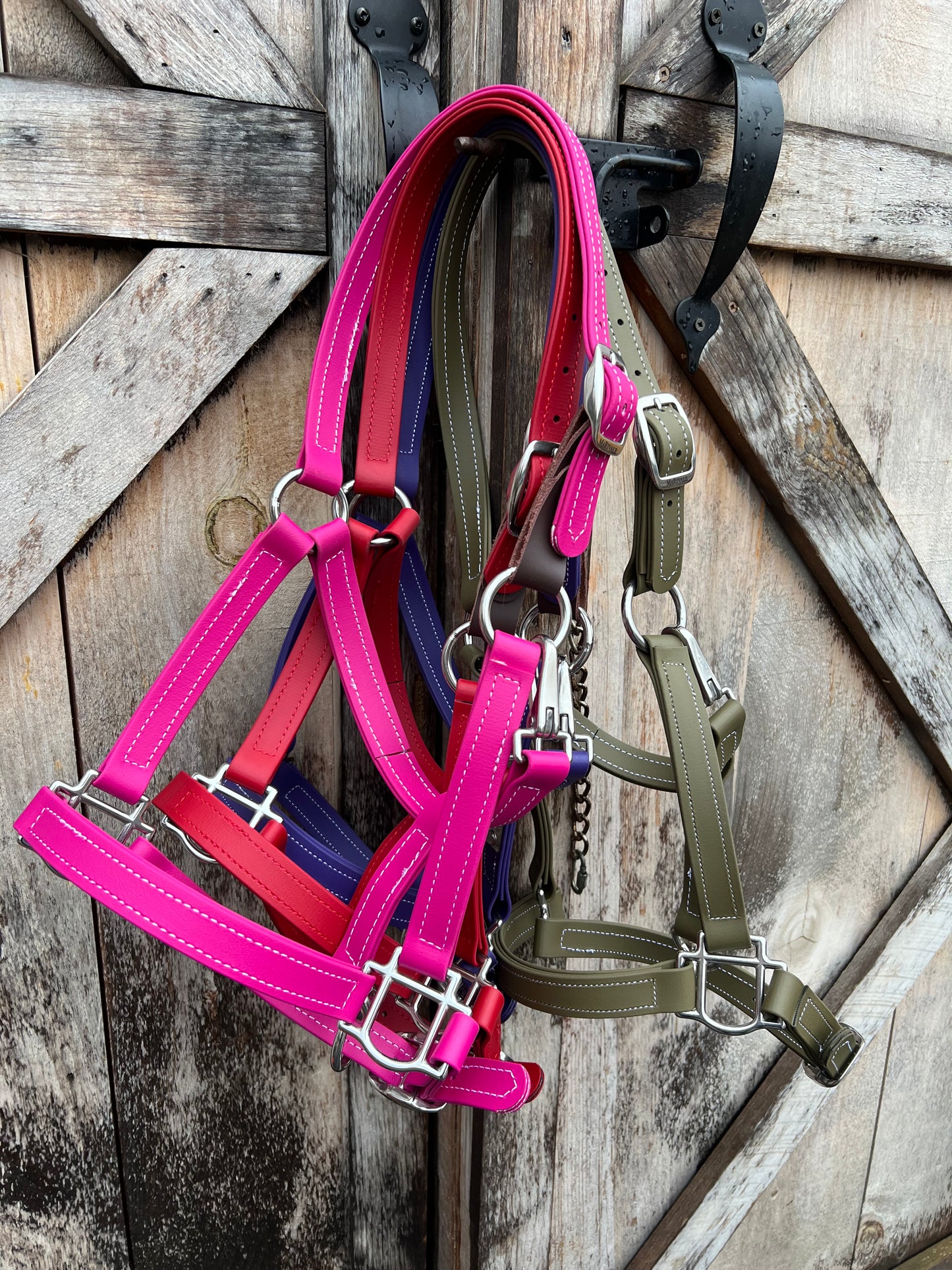 BioThane Breakaway Halter - MaRivale Signature *Made to order*