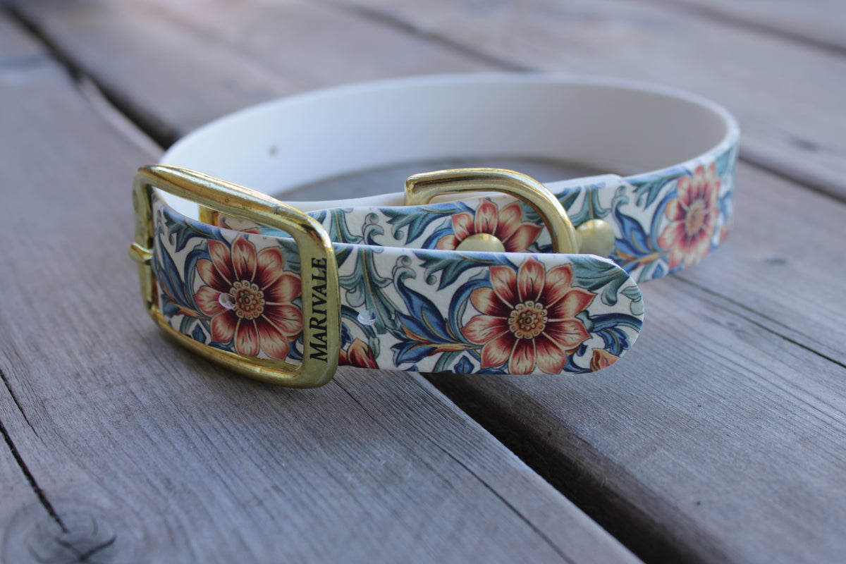 BioThane Dog Collar - IN STOCK