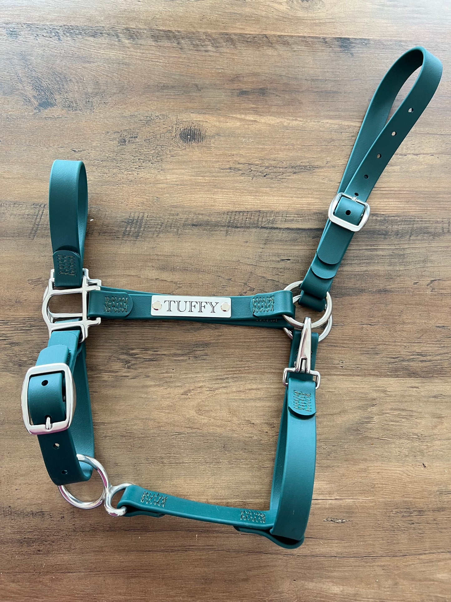 Custom Halter Set - BioThane Halter & Name Plate Bundle