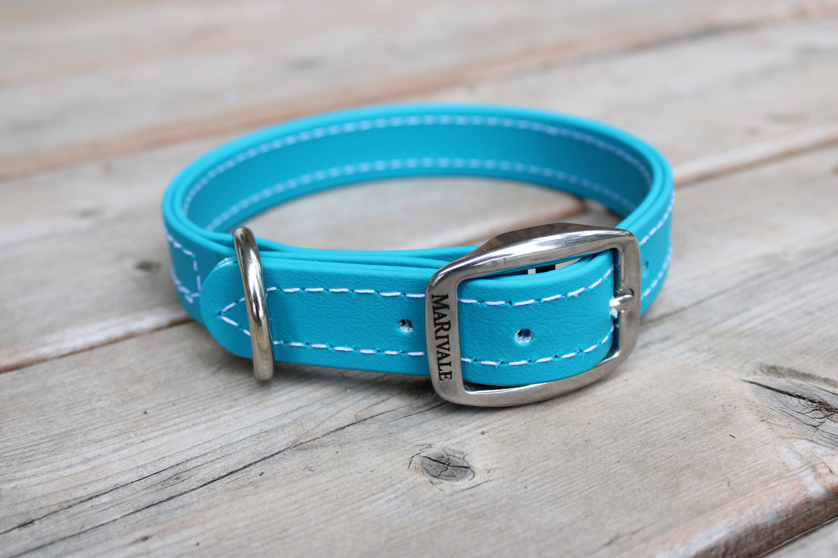 BioThane Dog Collar - IN STOCK