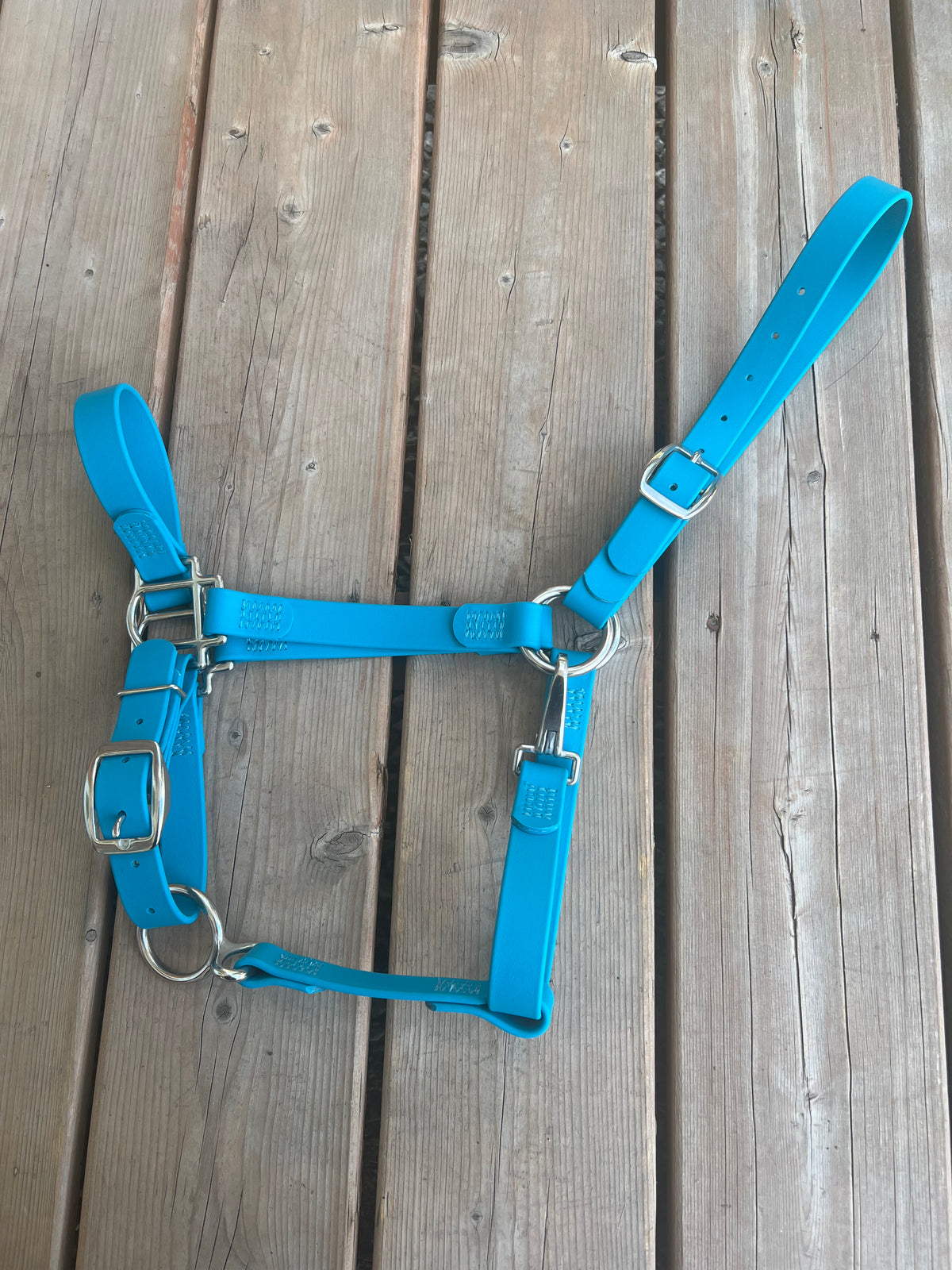 BioThane Horse Halter - IN STOCK