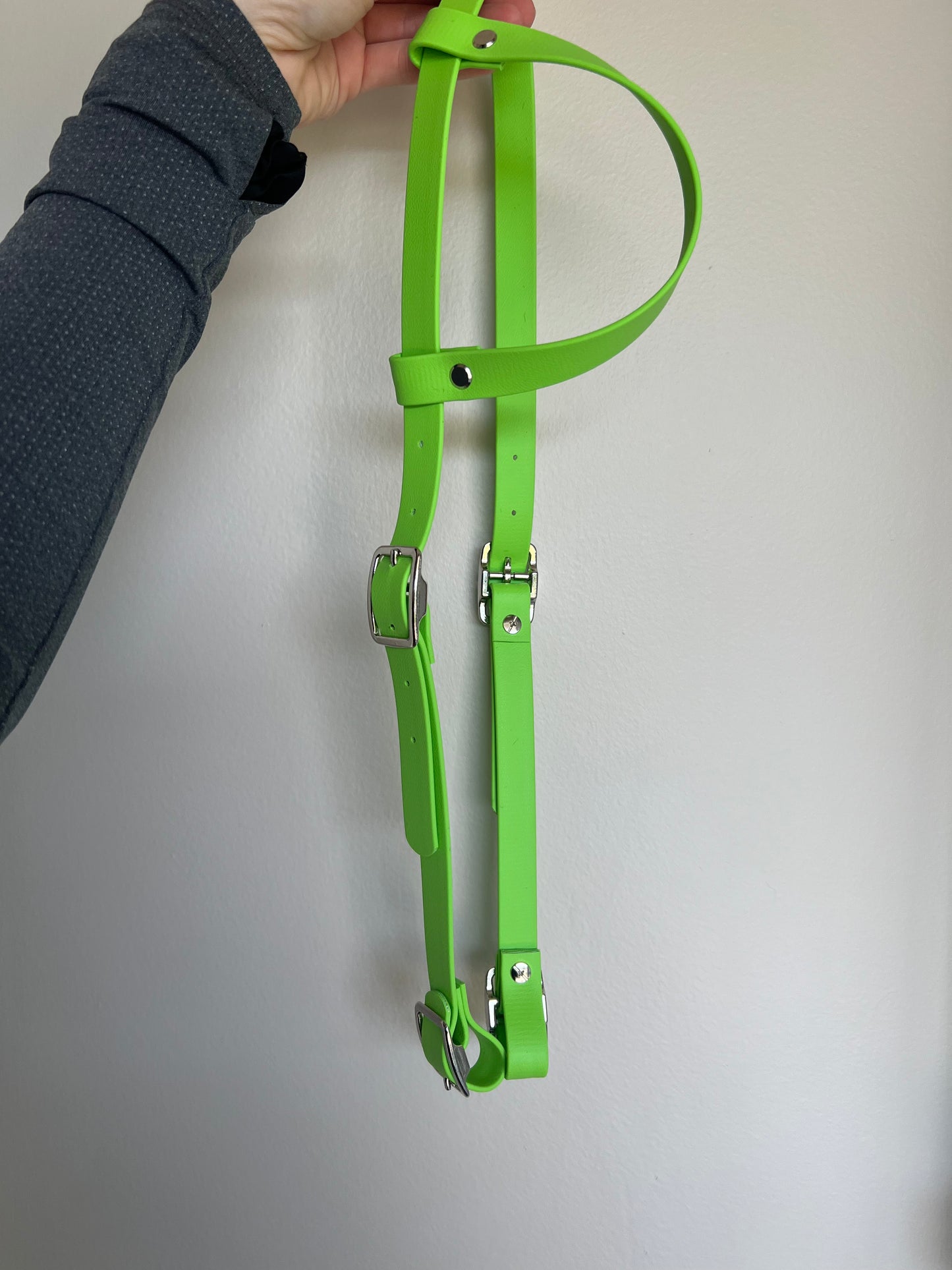 One-Ear BioThane Headstall – Cob to Full Size *Made to order*