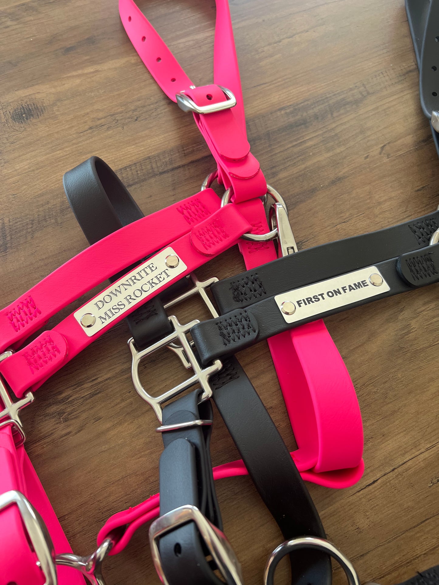 Custom Halter Set - BioThane Halter & Name Plate Bundle