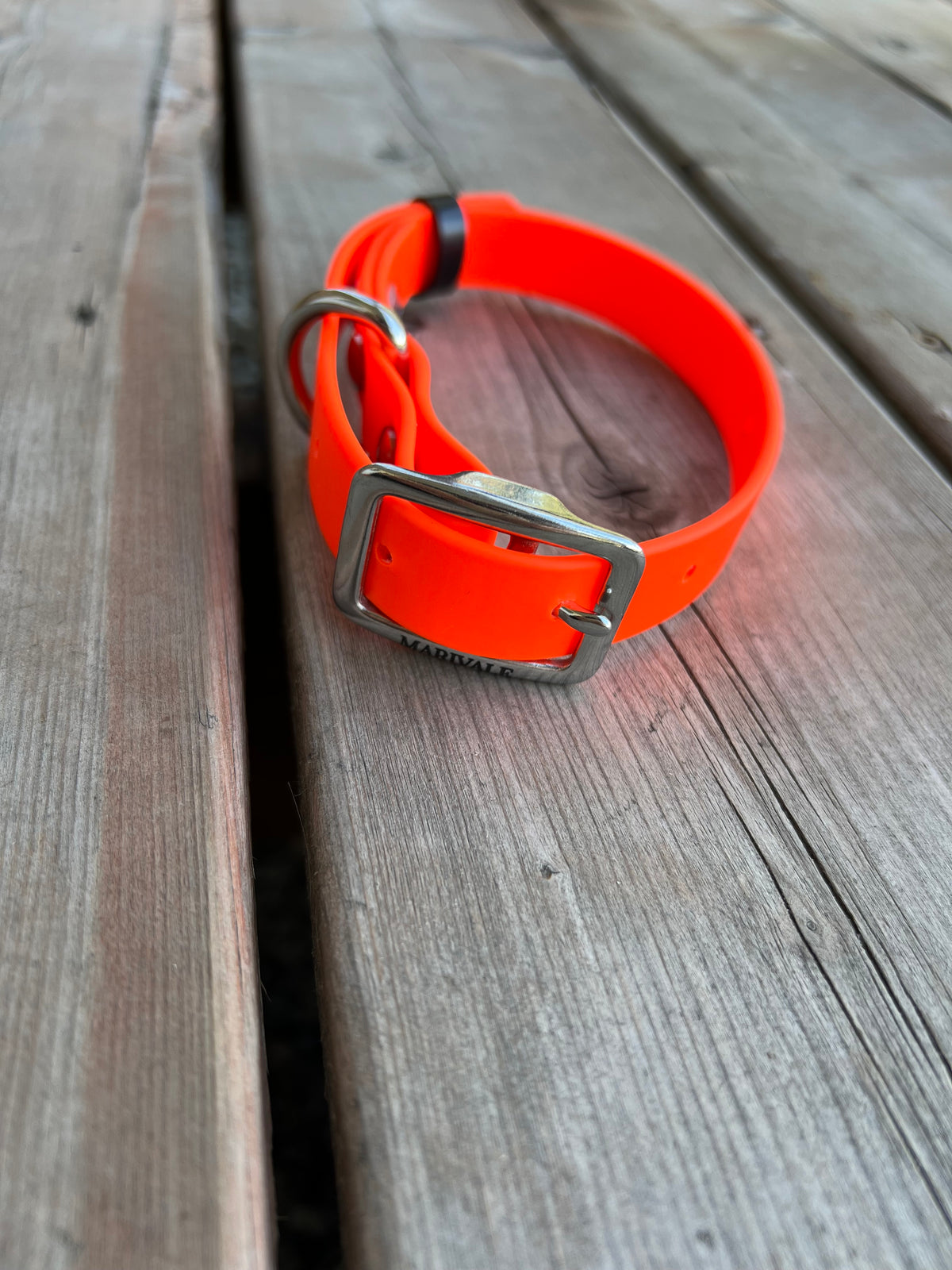 BioThane Dog Collar *Made to order*