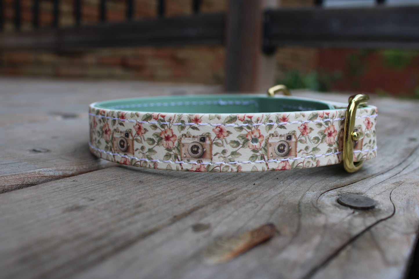 BioThane Dog Collar - IN STOCK