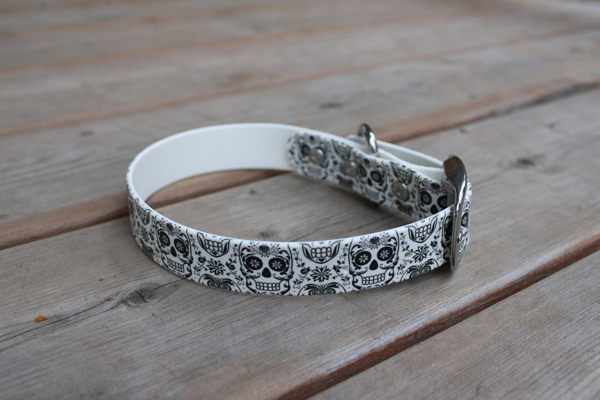 BioThane Dog Collar - IN STOCK