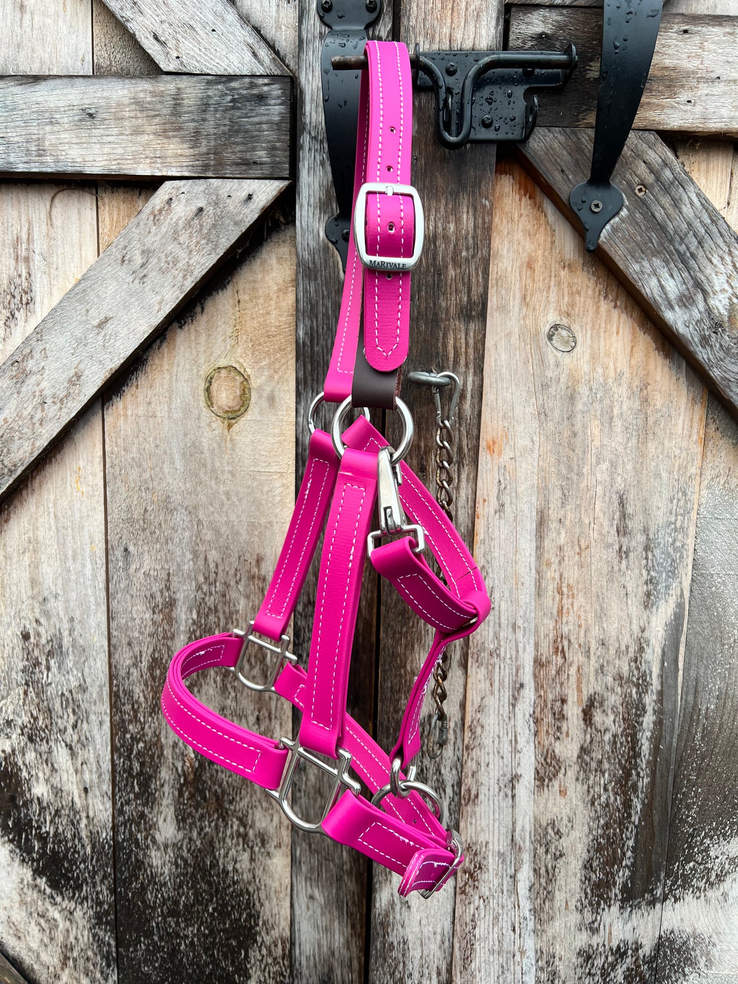BioThane Breakaway Halter - MaRivale Signature *Made to order*