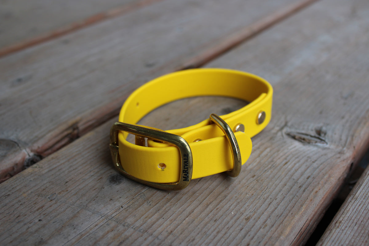 BioThane Dog Collar *Made to order*