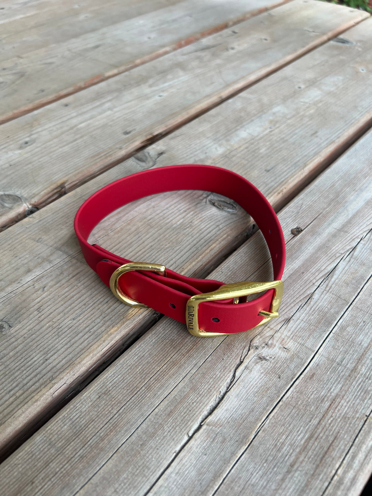 BioThane Dog Collar - IN STOCK
