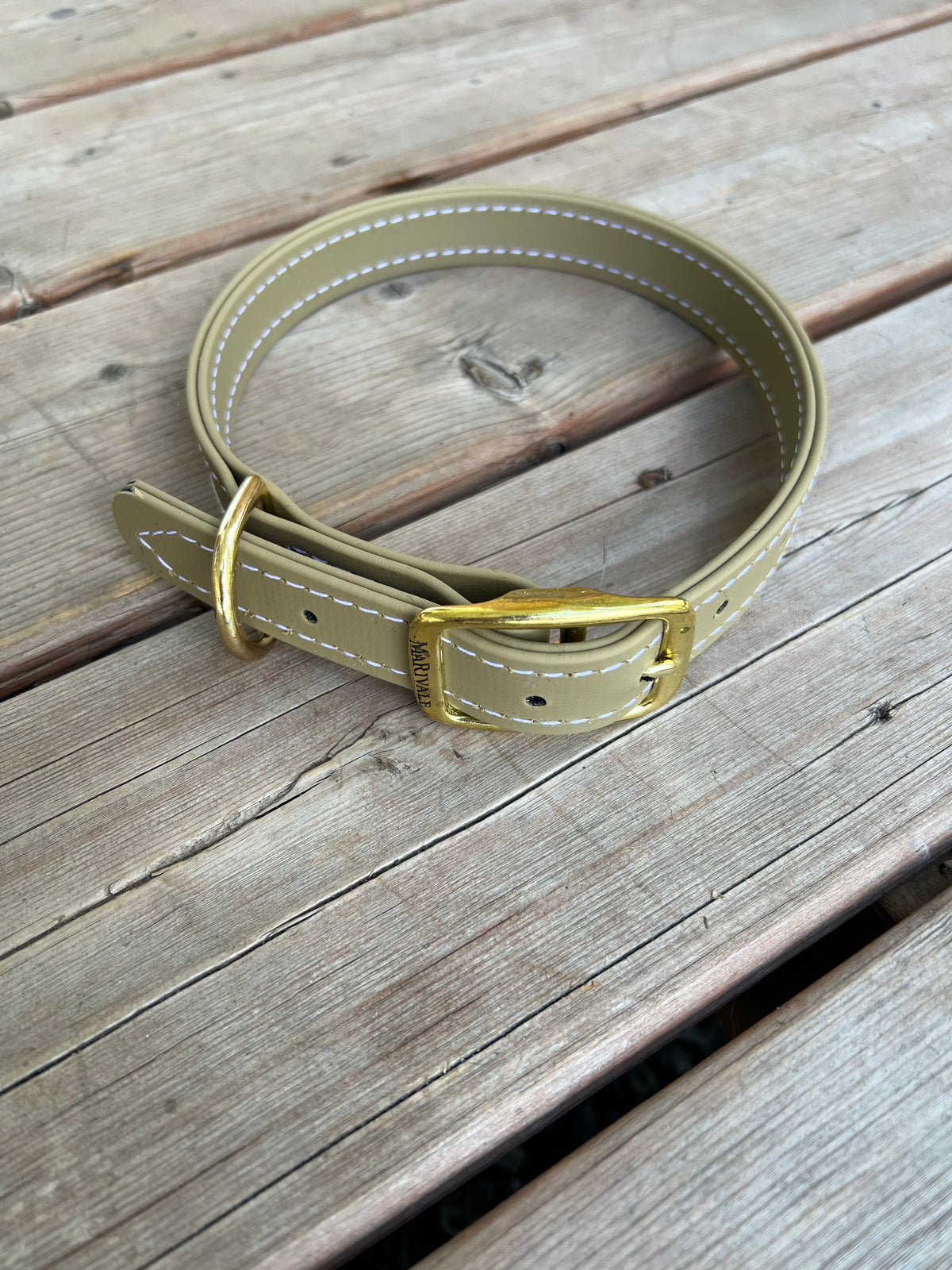BioThane Dog Collar - IN STOCK