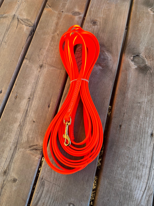 BioThane Dog Leash - IN STOCK