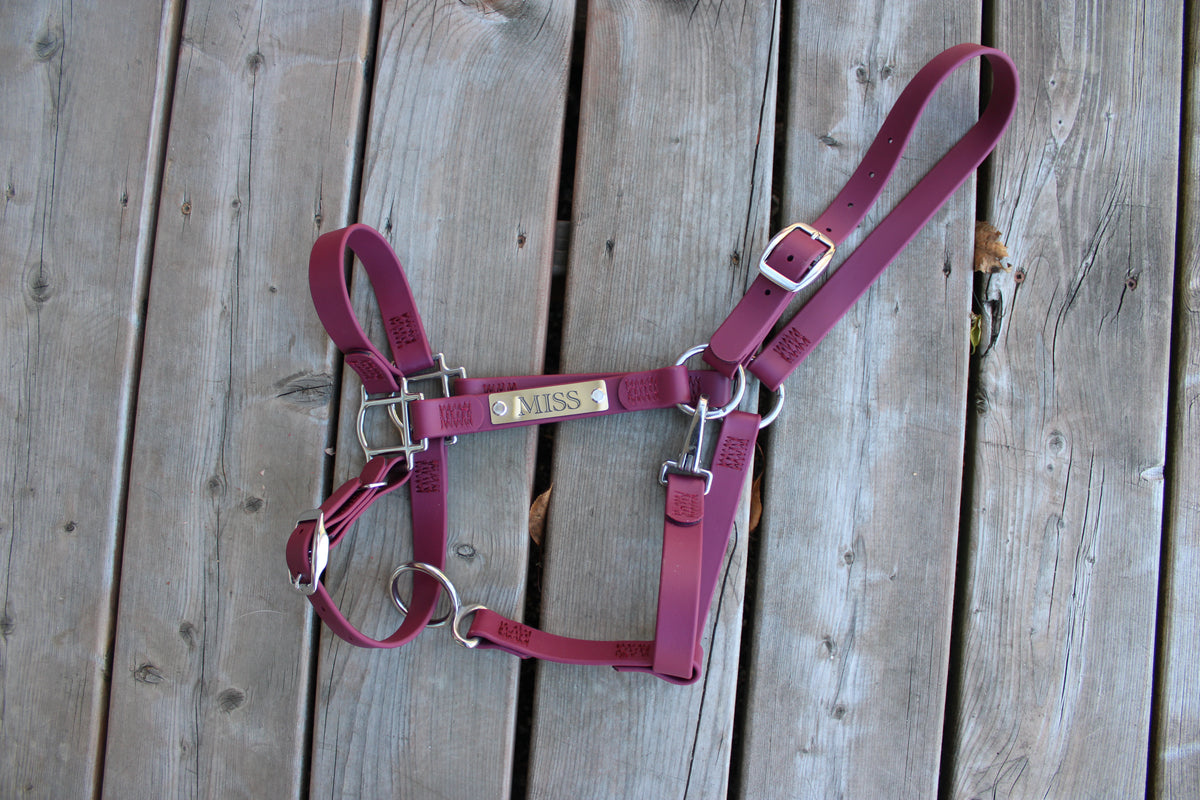 Custom Halter Set - BioThane Halter & Name Plate Bundle