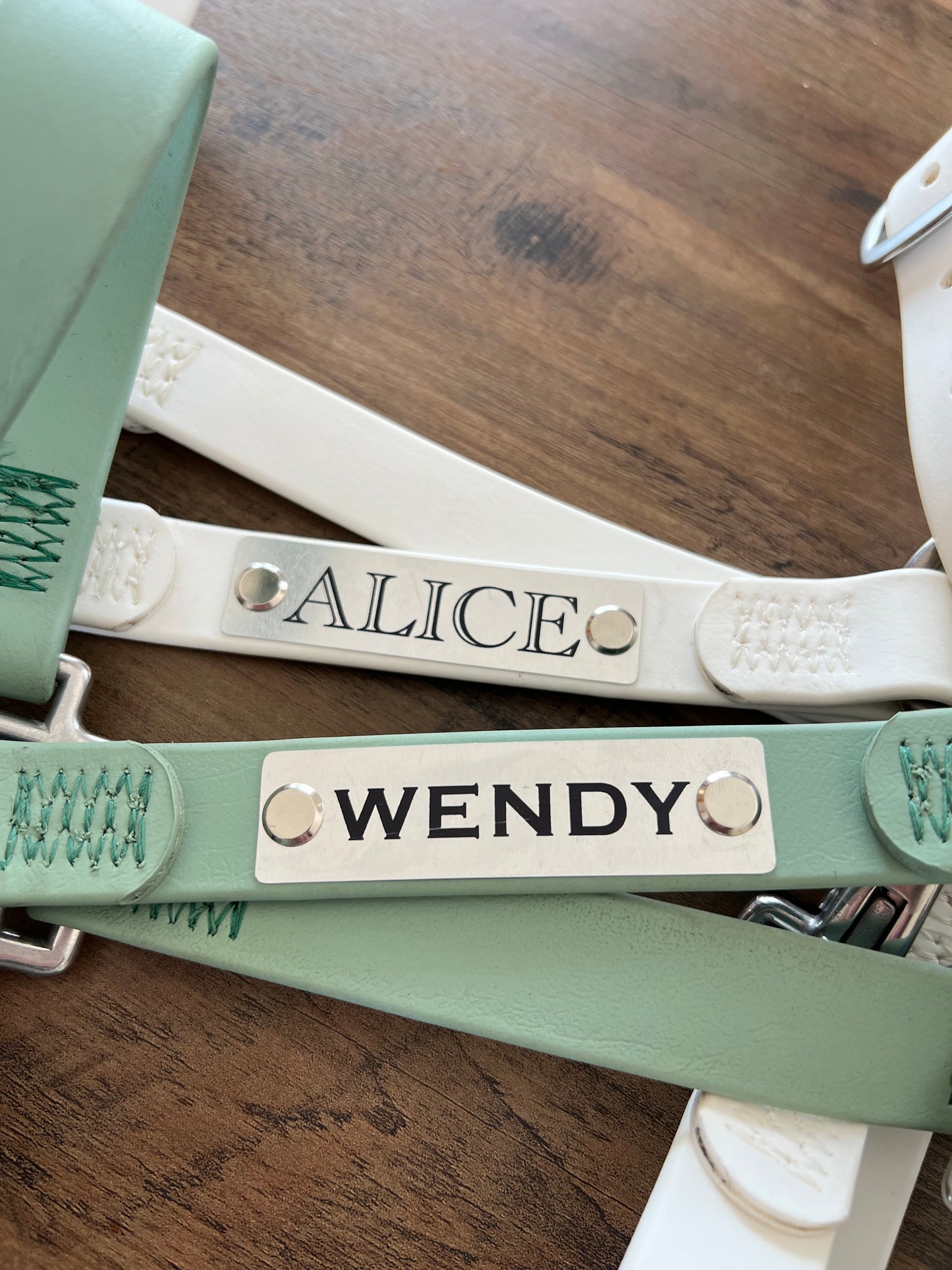 Custom Halter Set - BioThane Halter & Name Plate Bundle