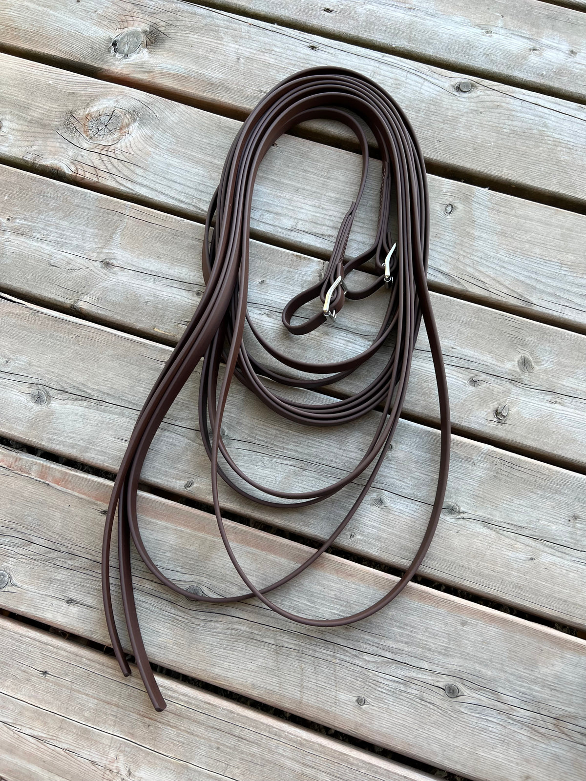 BioThane Long Lines (Set of 2 20’ Reins)