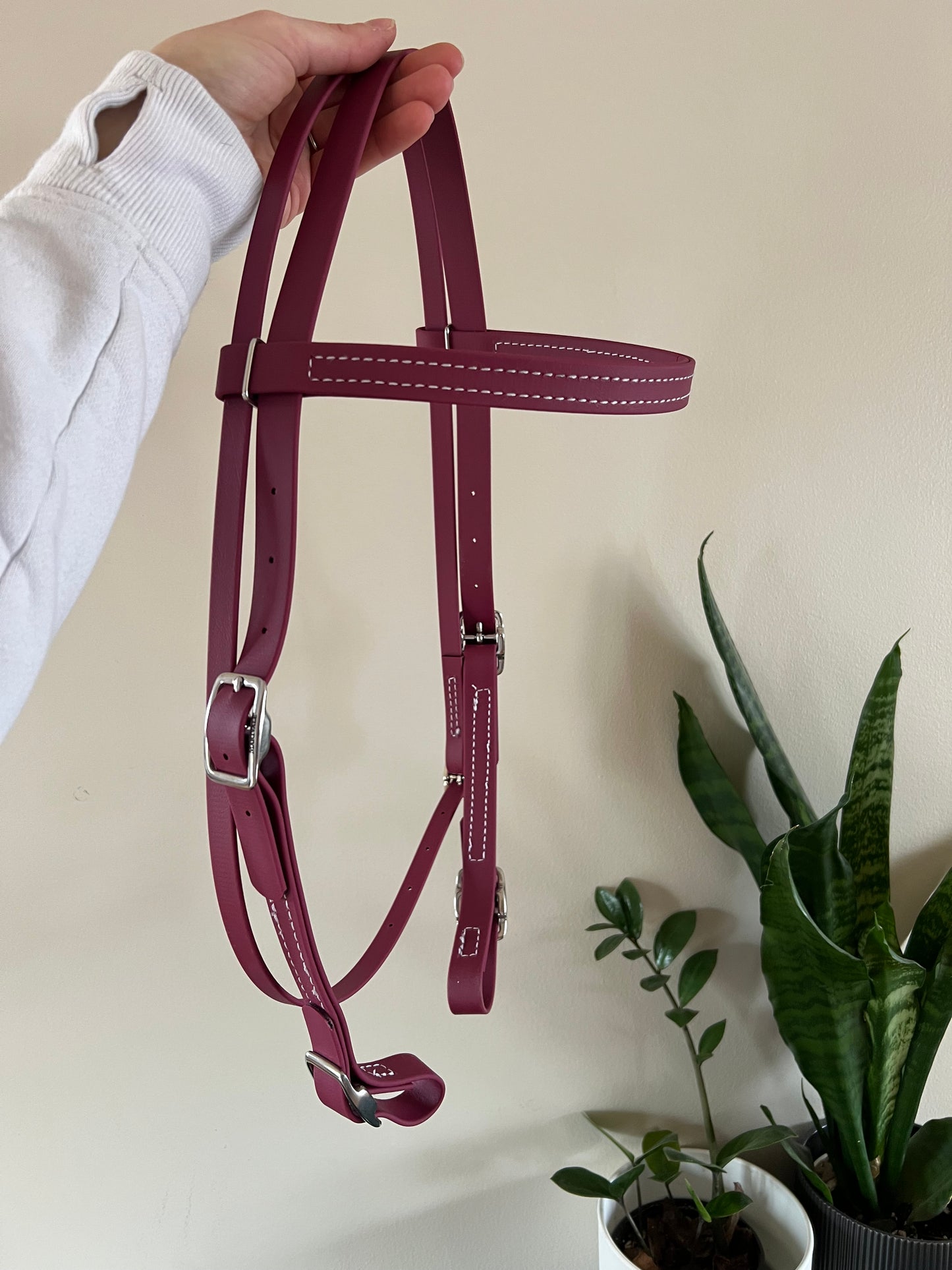 One-Ear BioThane Headstall - MaRivale Signature - IN STOCK