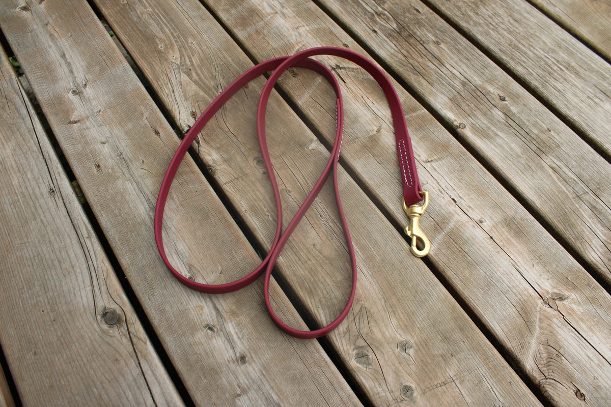 BioThane Dog Leash - IN STOCK