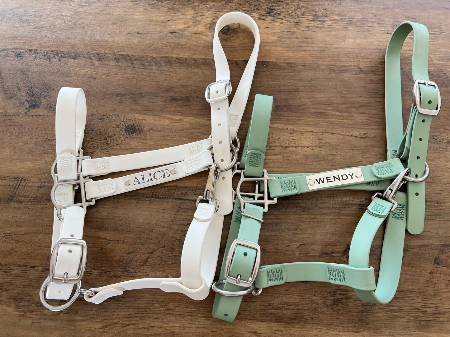 Custom Halter Set - BioThane Halter & Name Plate Bundle