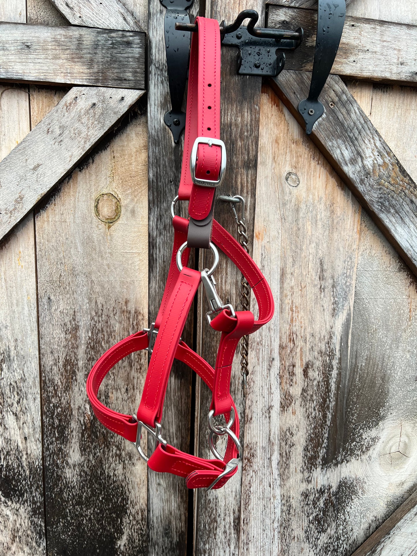BioThane Breakaway Halter - MaRivale Signature *Made to order*