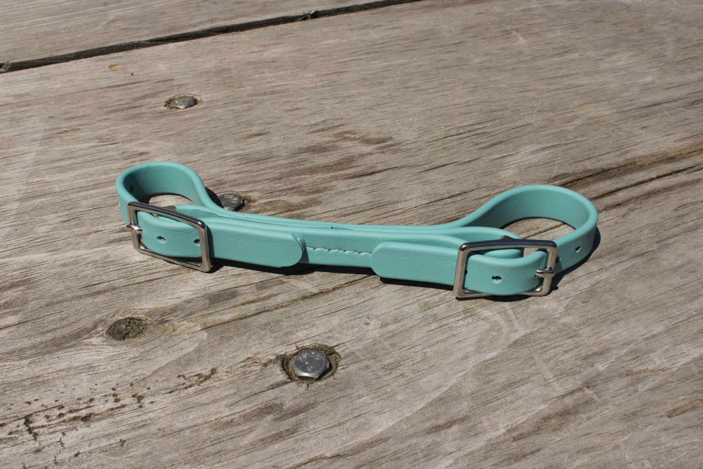 BioThane Curb Strap - IN STOCK