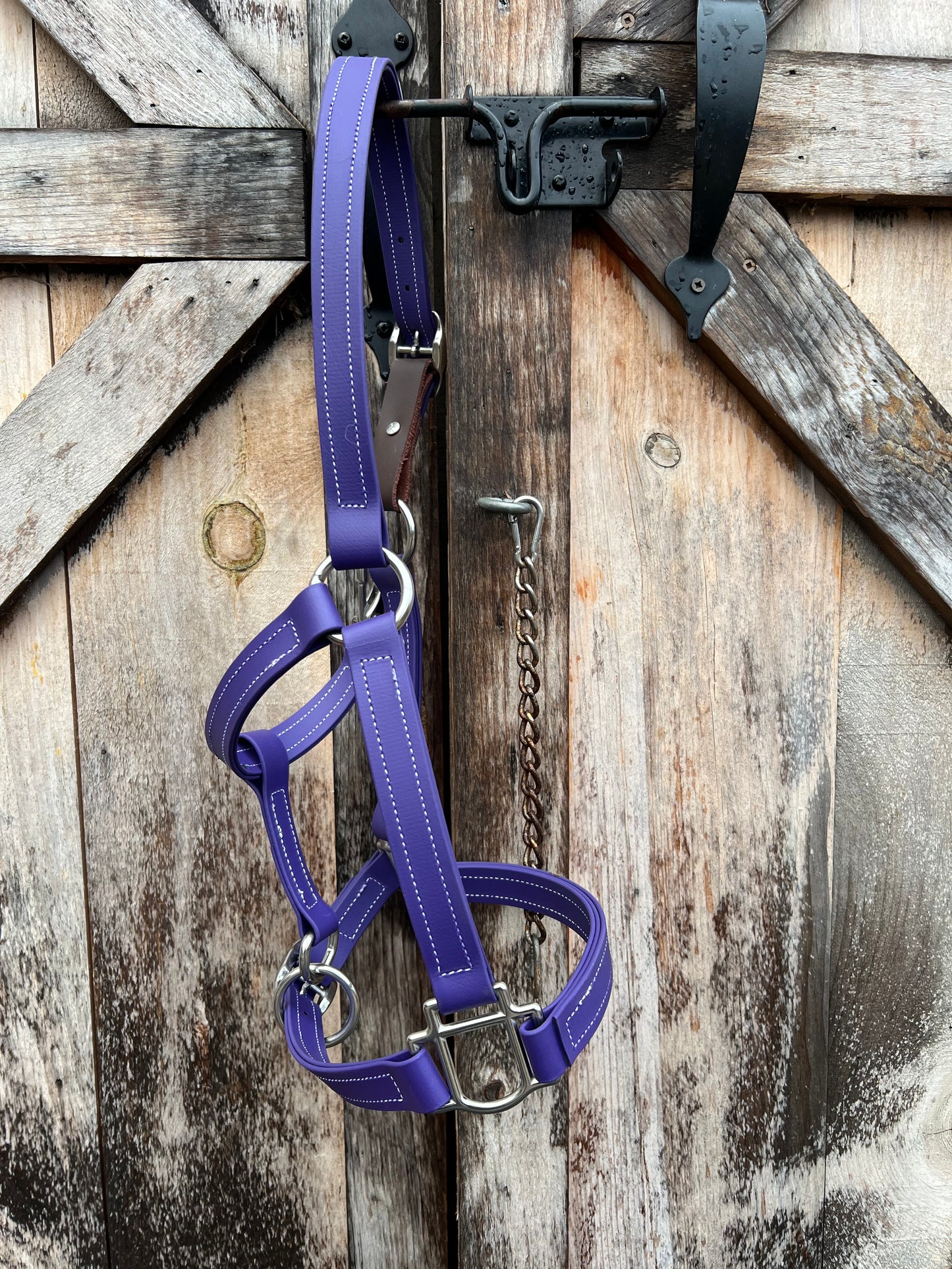 BioThane Breakaway Halter - MaRivale Signature *Made to order*