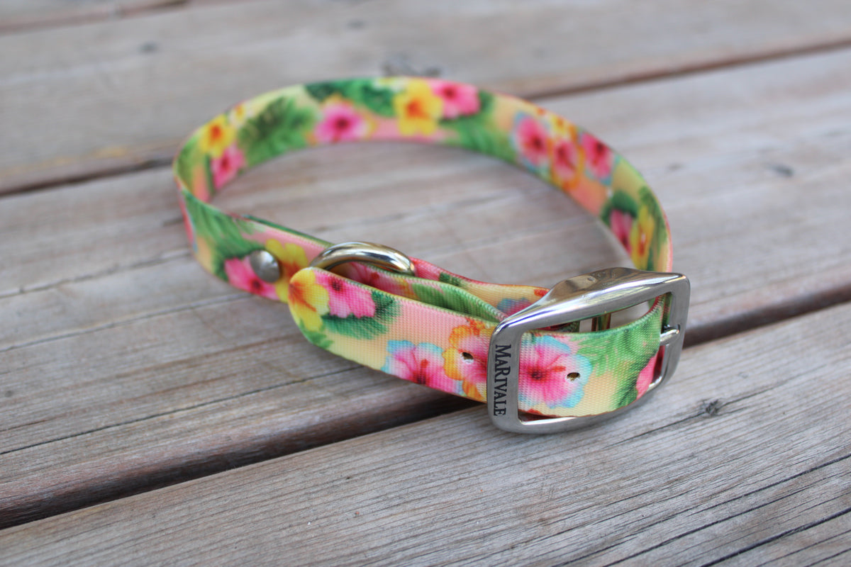 BioThane Dog Collar - IN STOCK