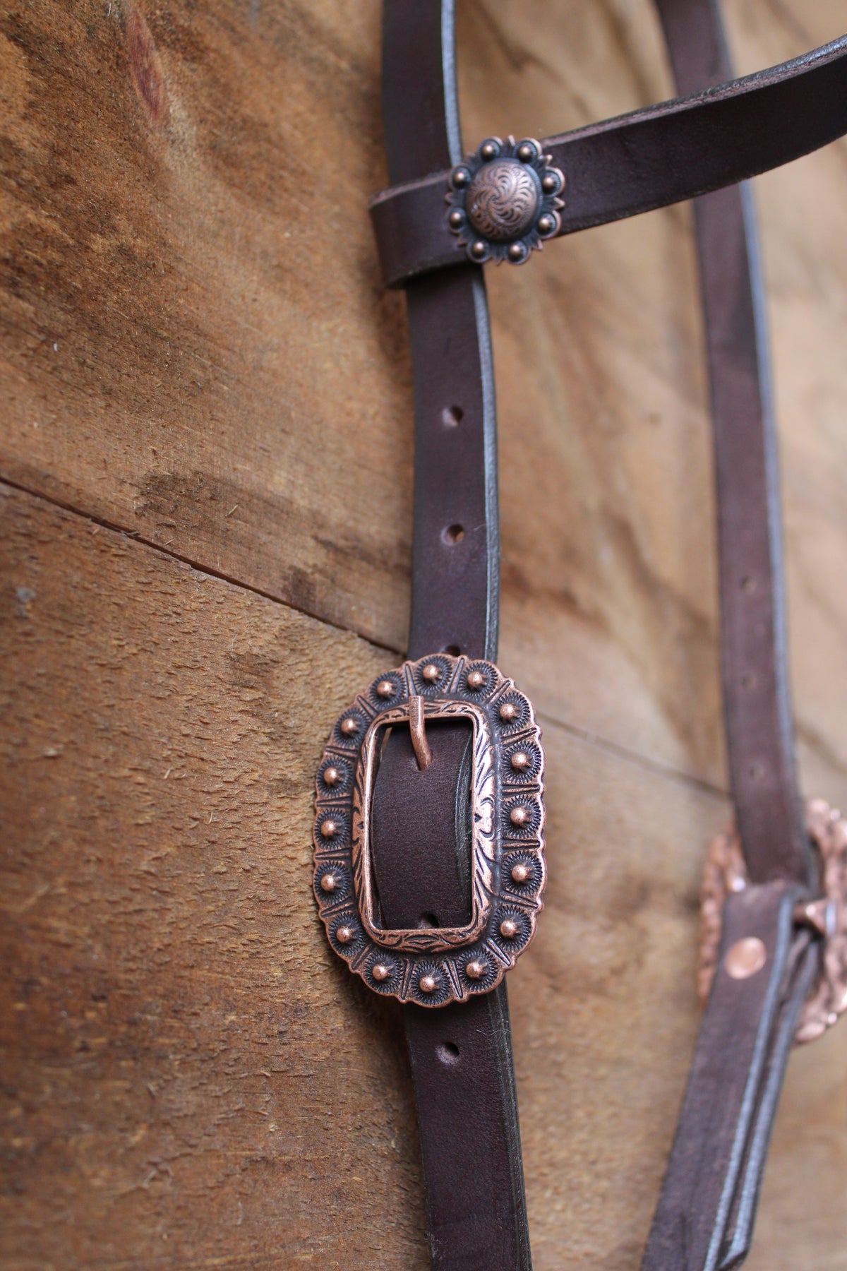 Dark Brown Leather Headstall #2
