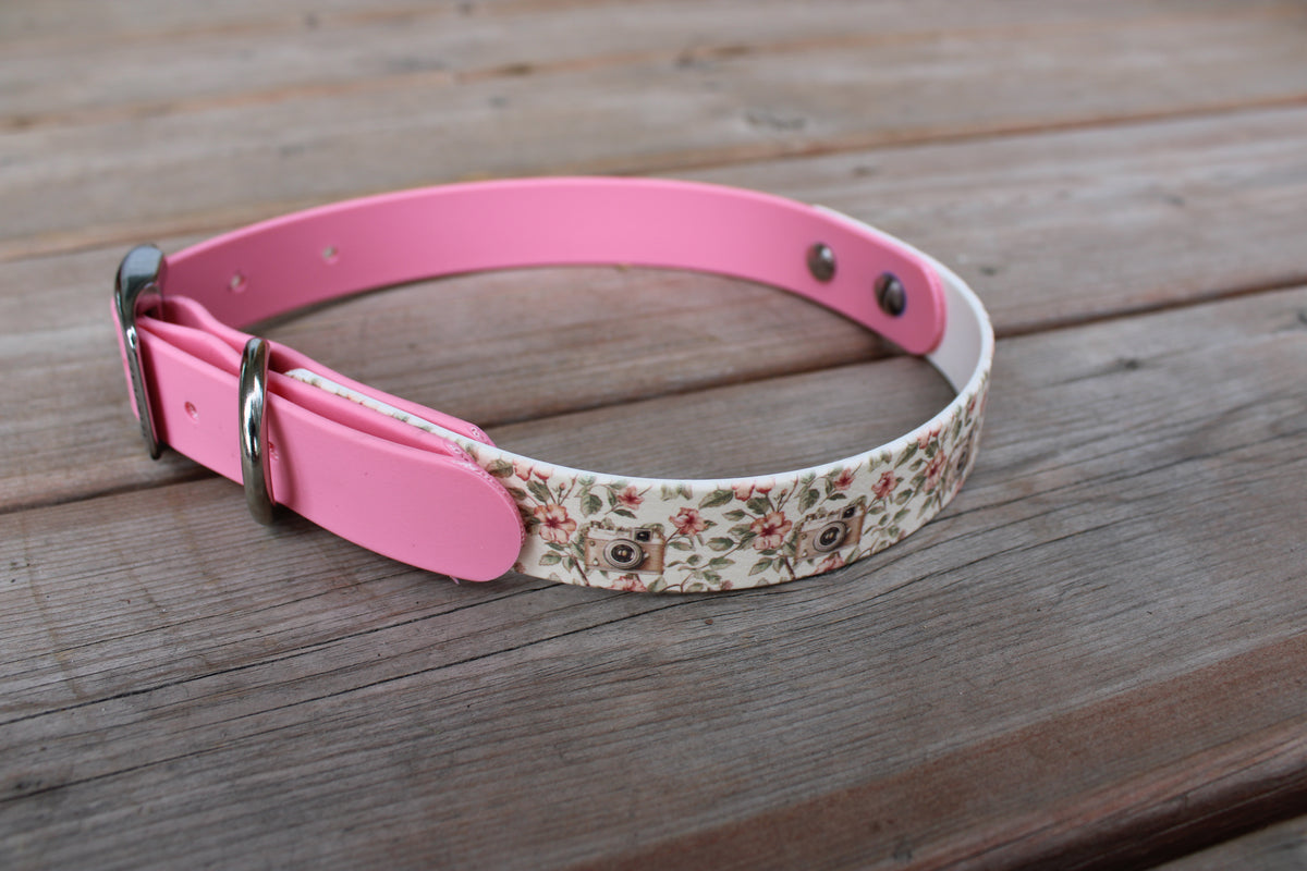BioThane Dog Collar - IN STOCK