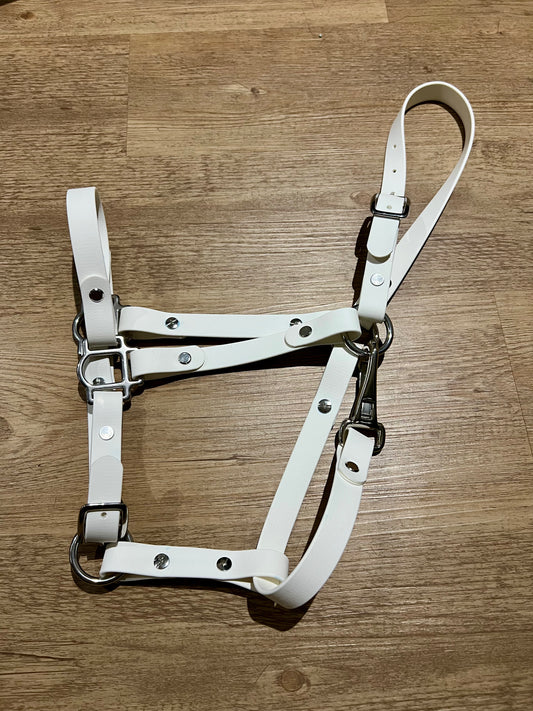 BioThane Yearling Halter - MADE TO ORDER