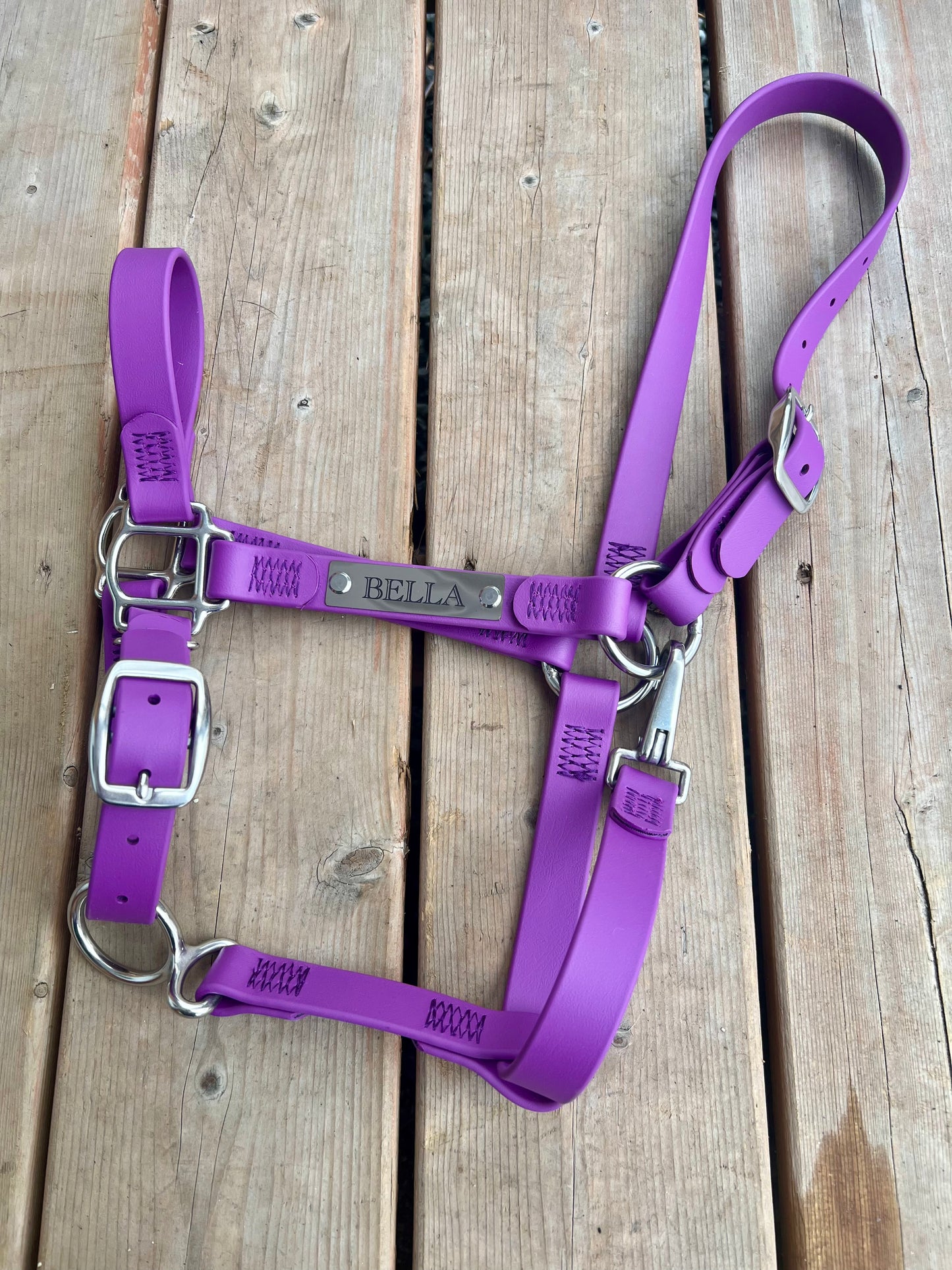 Custom Halter Set - BioThane Halter & Name Plate Bundle