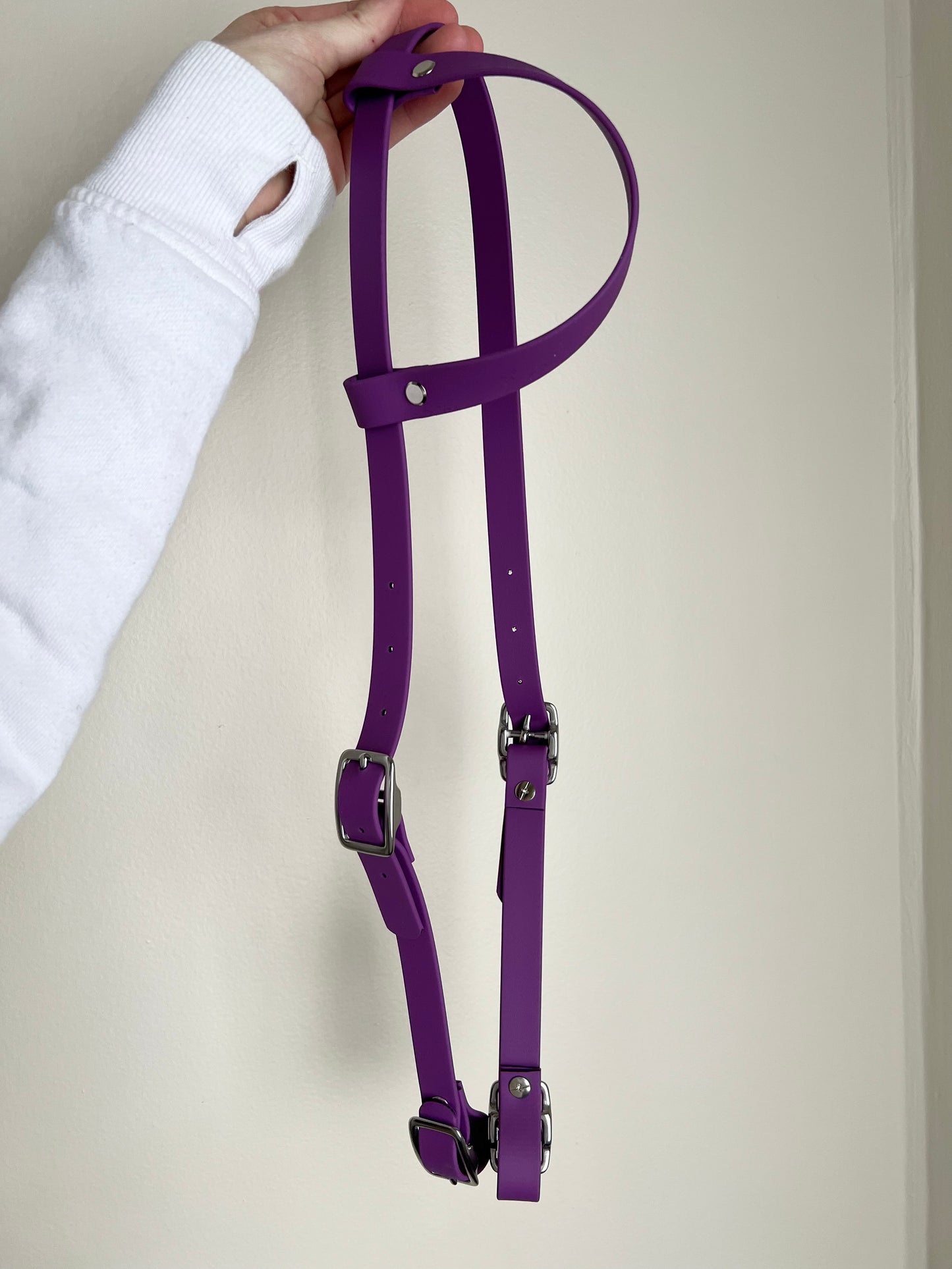 One-Ear BioThane Headstall – Cob to Full Size - IN STOCK