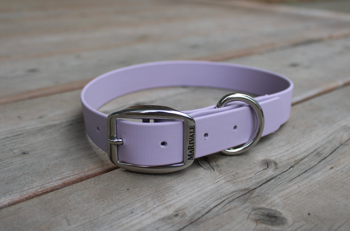 BioThane Dog Collar - IN STOCK