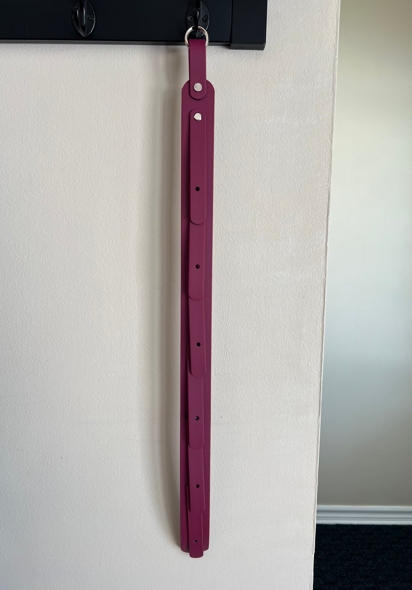 BioThane Cinch Holder Organizer
