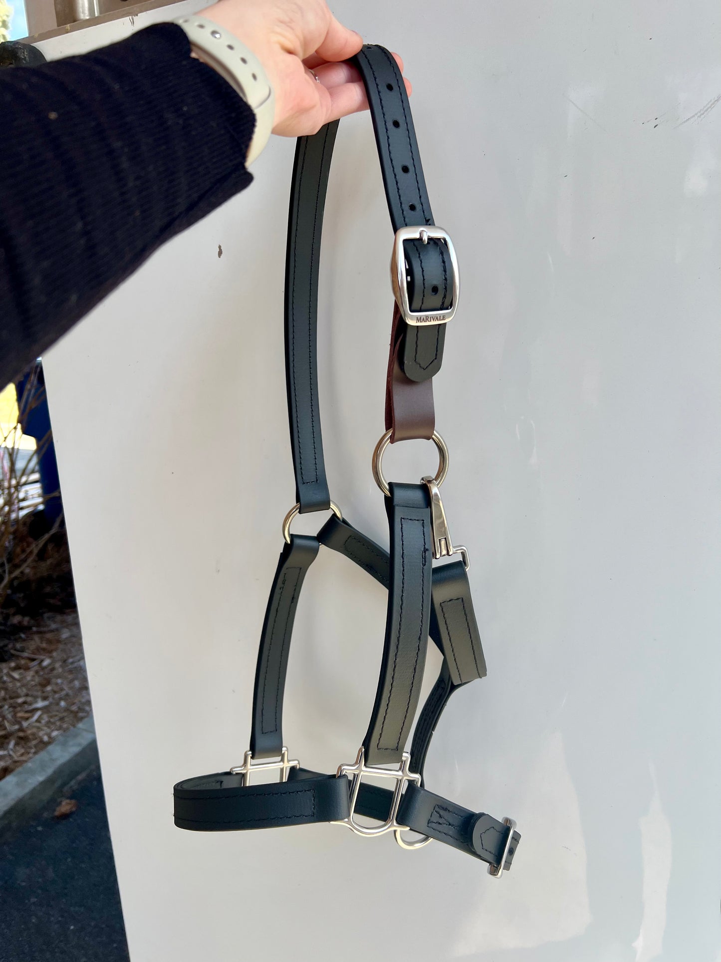 BioThane Breakaway Halter - MaRivale Signature *Made to order*