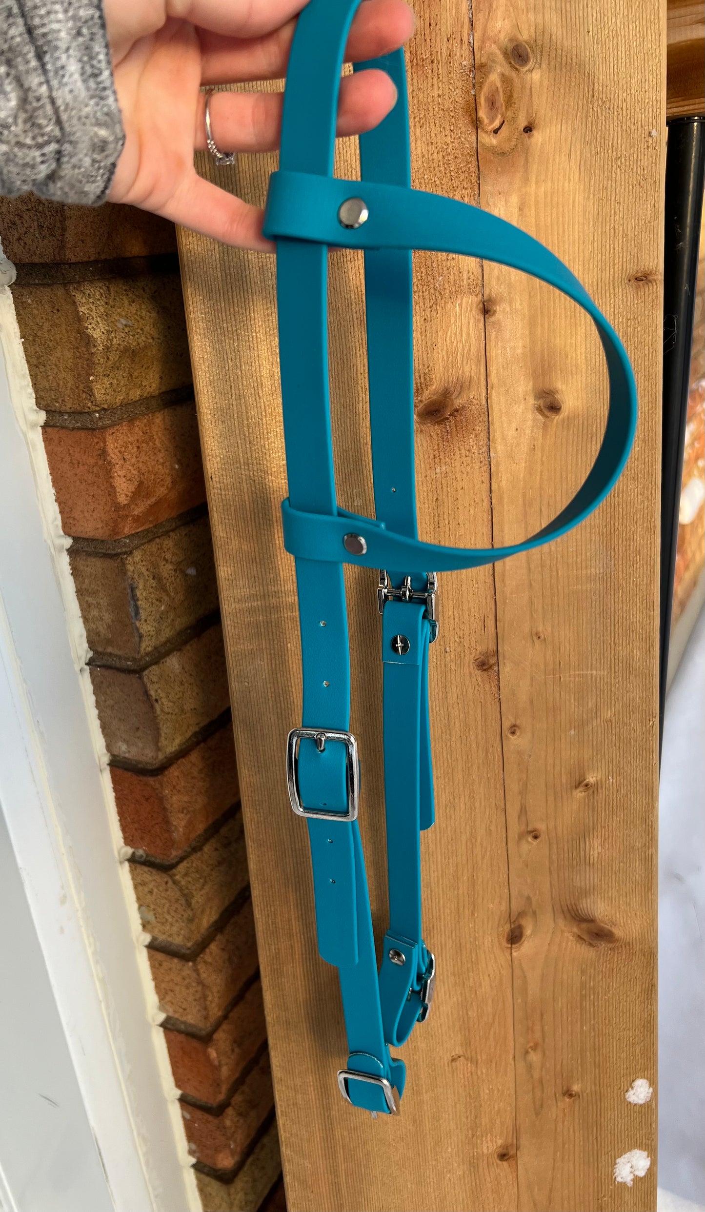 One-Ear BioThane Headstall – Cob to Full Size *Made to order*